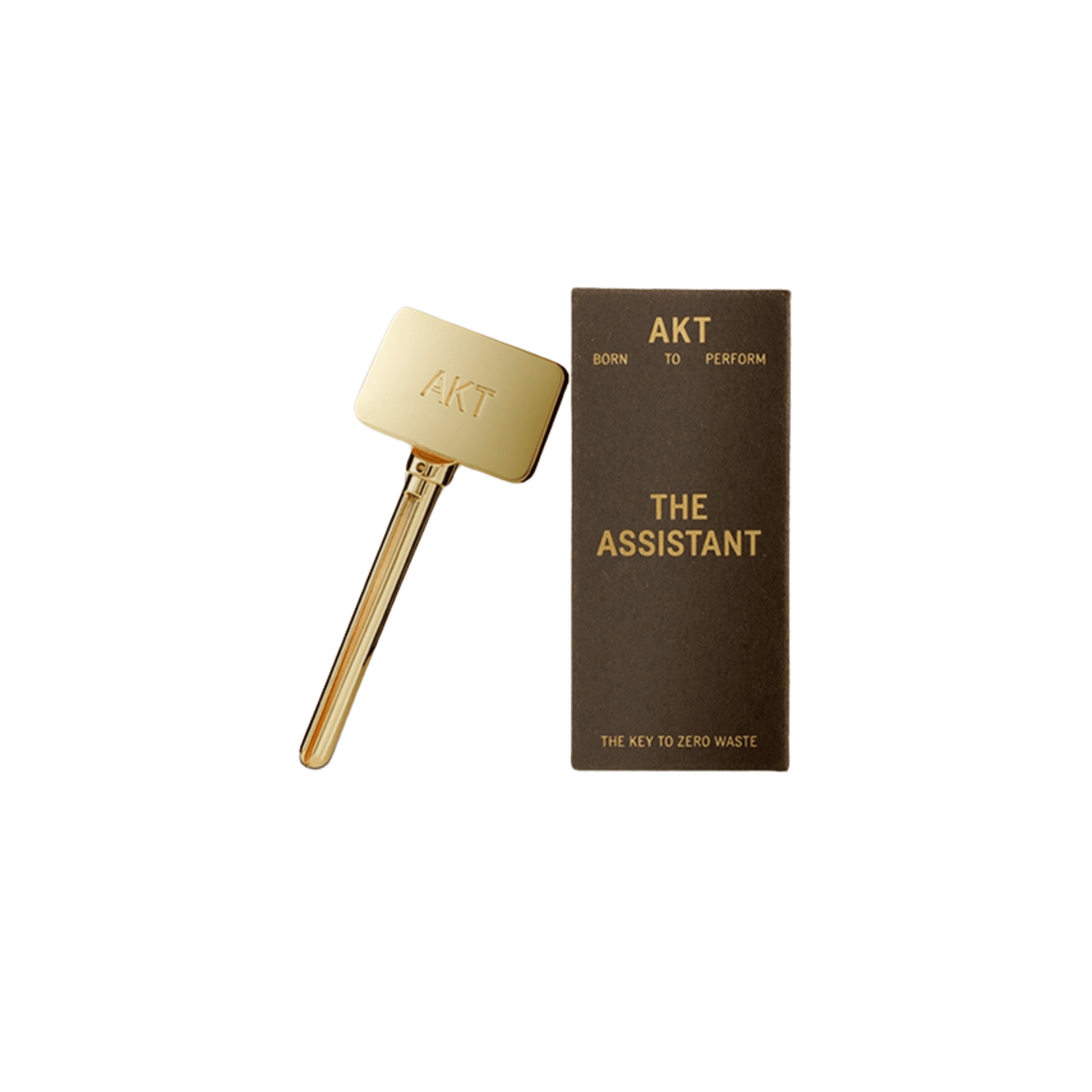 Primary Image the Assistant Tube Key