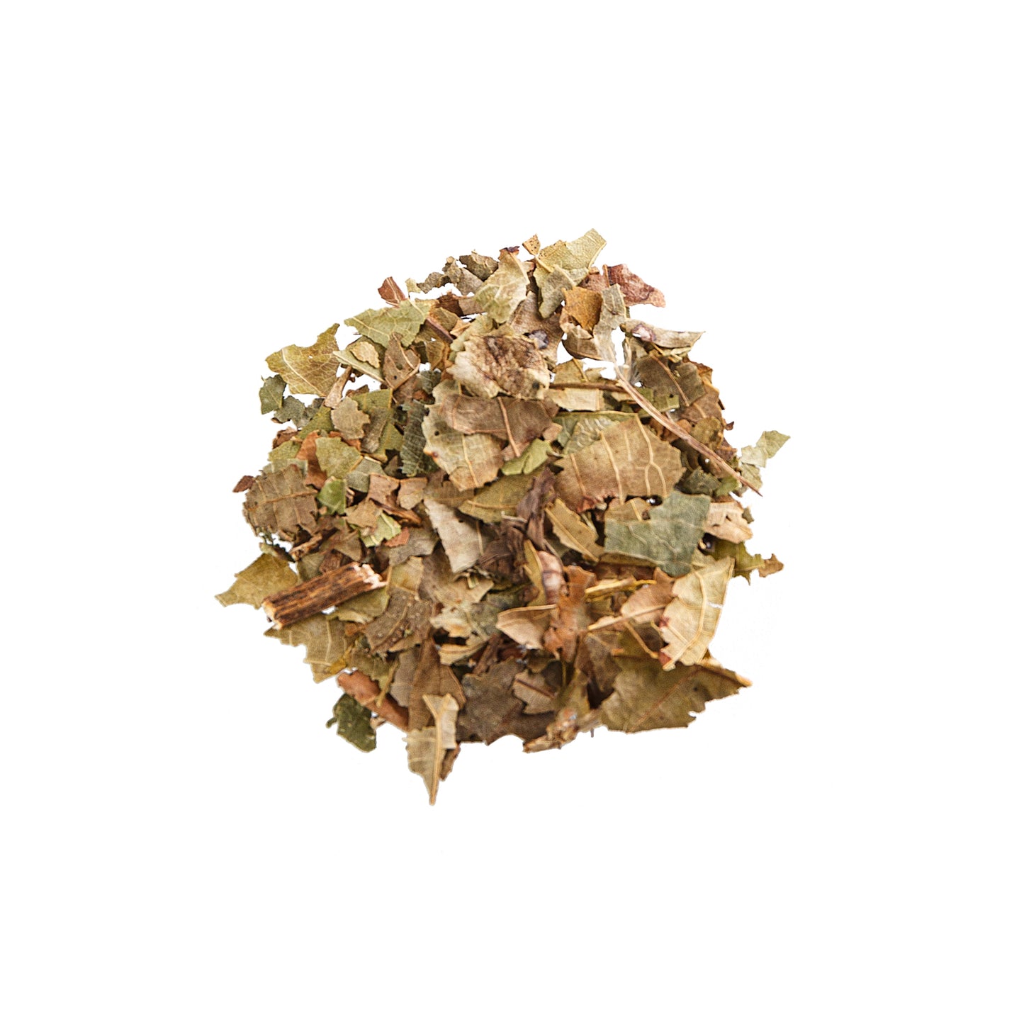 Primary Image of Black Walnut Leaves - Cut (Juglans nigra)