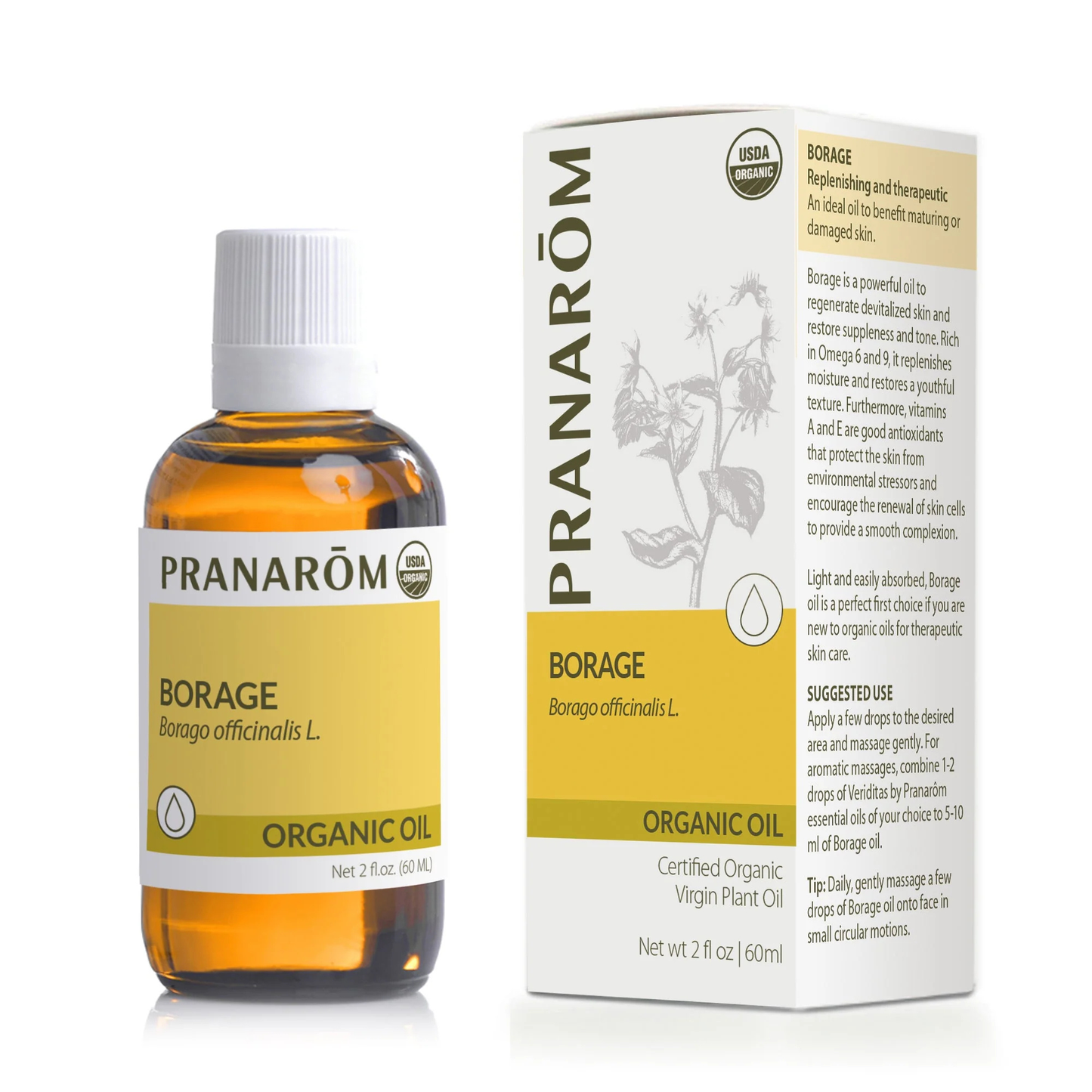 Primary image of  Borage Virgin Plant Oil 
