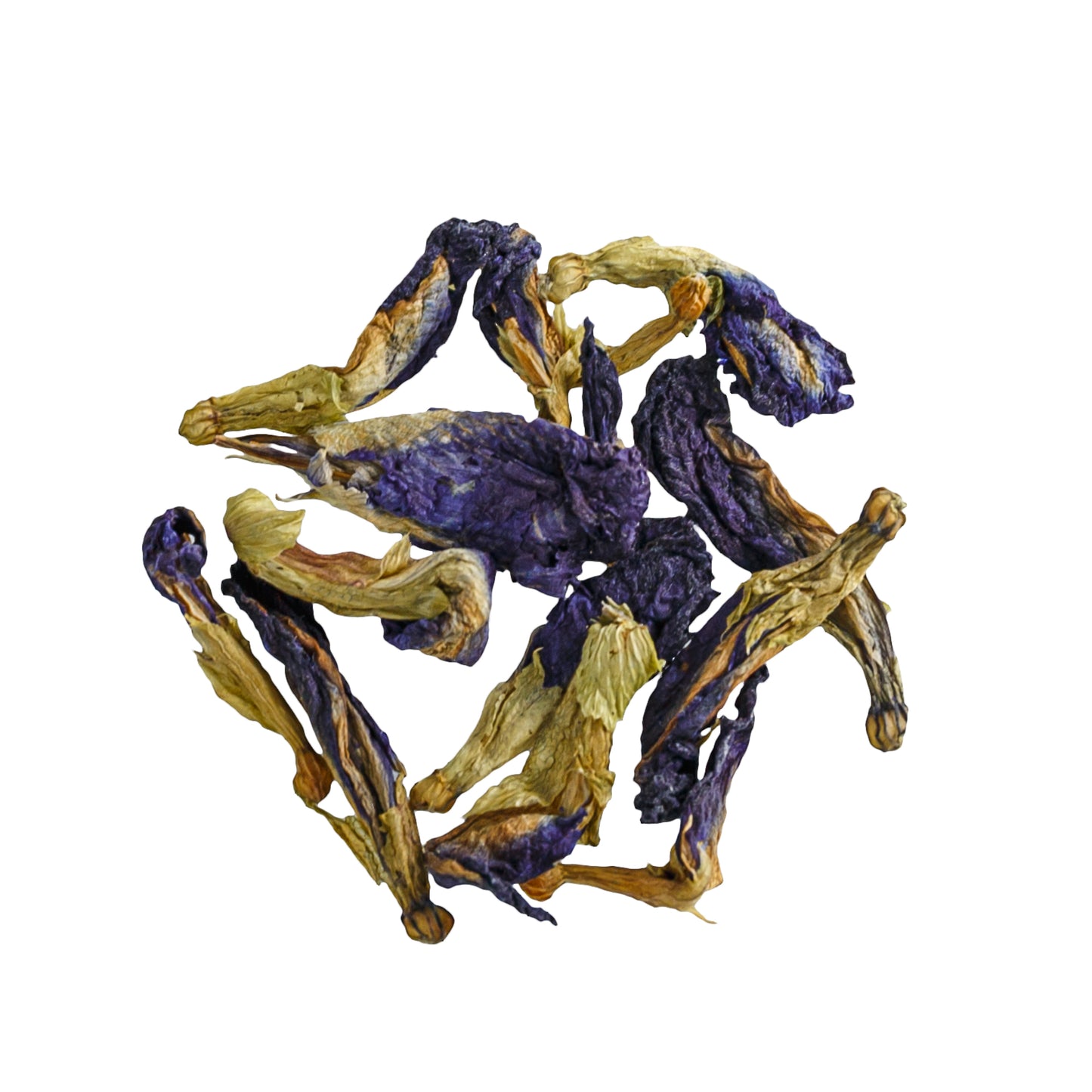 Primary Image Of Butterfly Pea Flower 