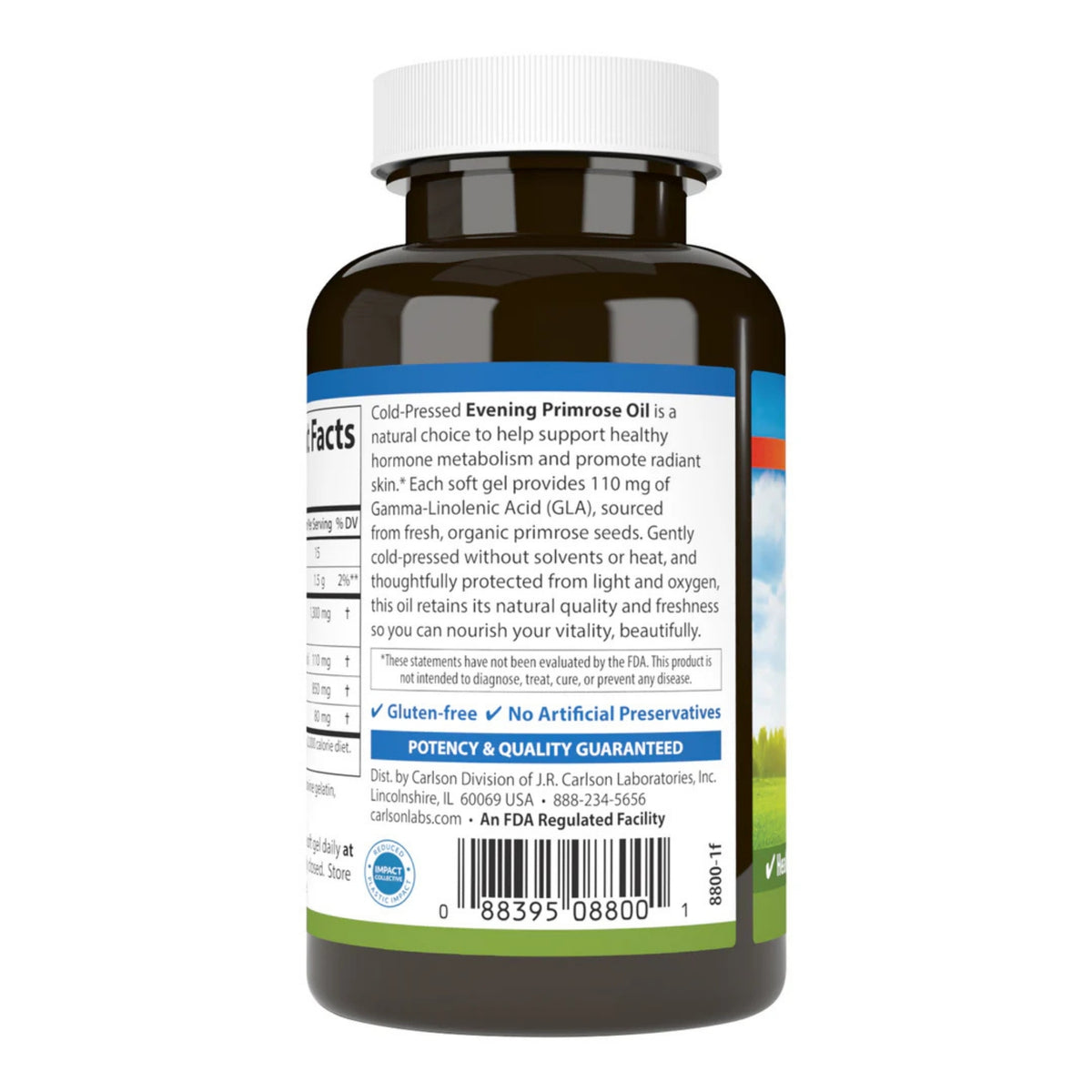 Back view of Carlson Evening Primrose Oil 50 count bottle with cold pressed oil and gluten free label on white background