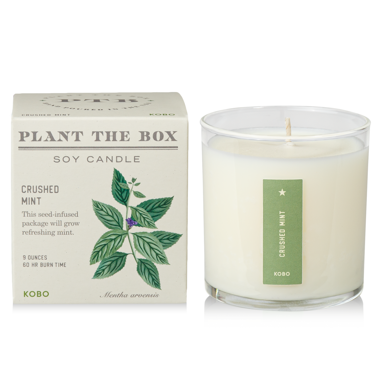 Primary Image of Crushed Mint Plant the Box Candle