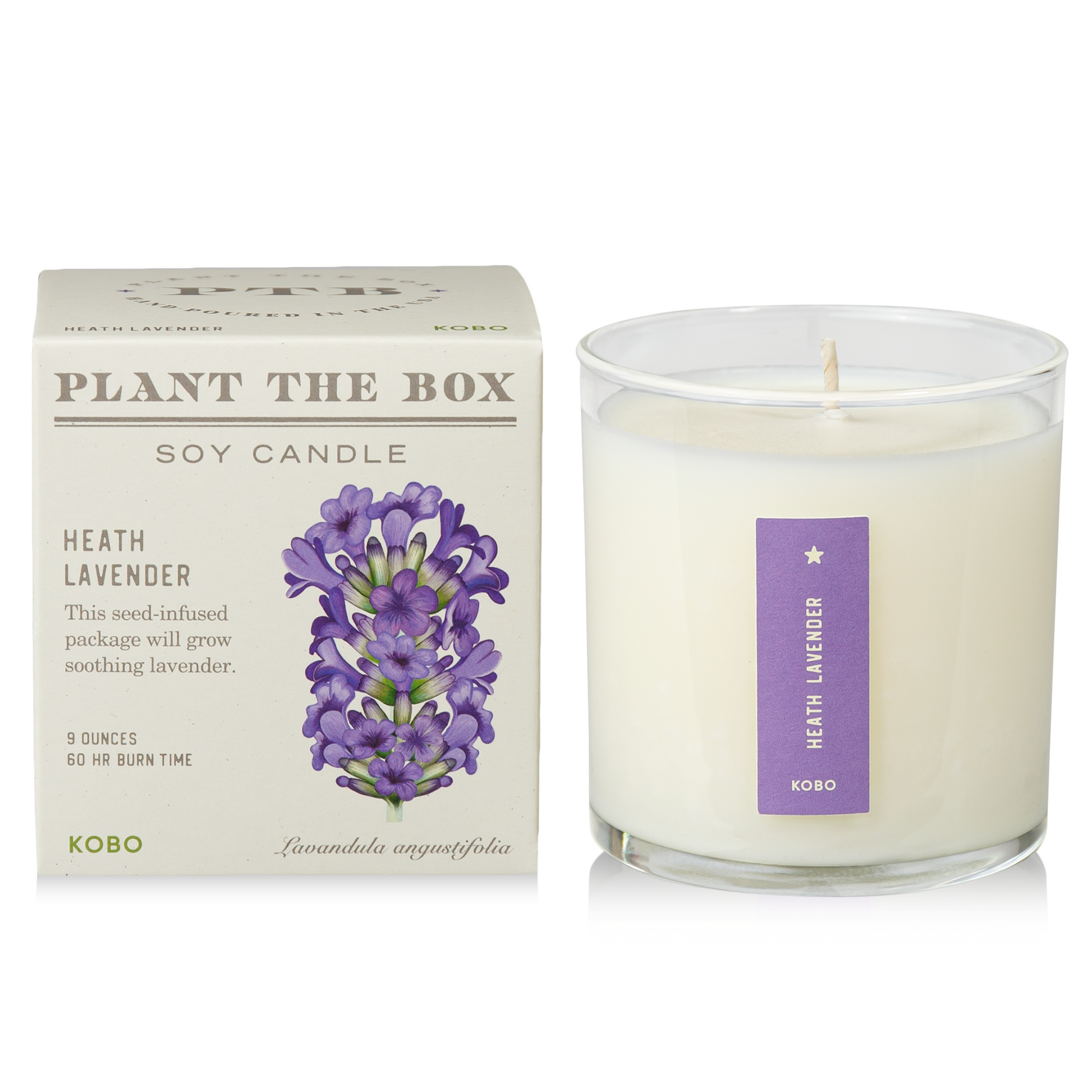 box lavender plant KOBO Heath Lavender Plant the Box Candle (9 oz) #10070597