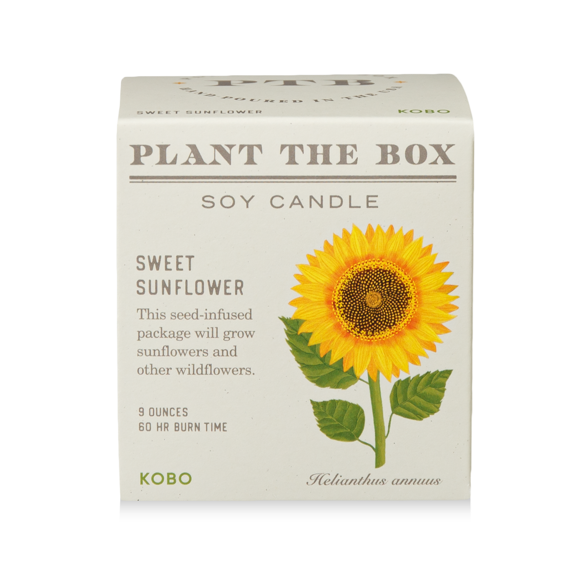 Alternate Image of Sweet Sunflower Plant the Box Candle