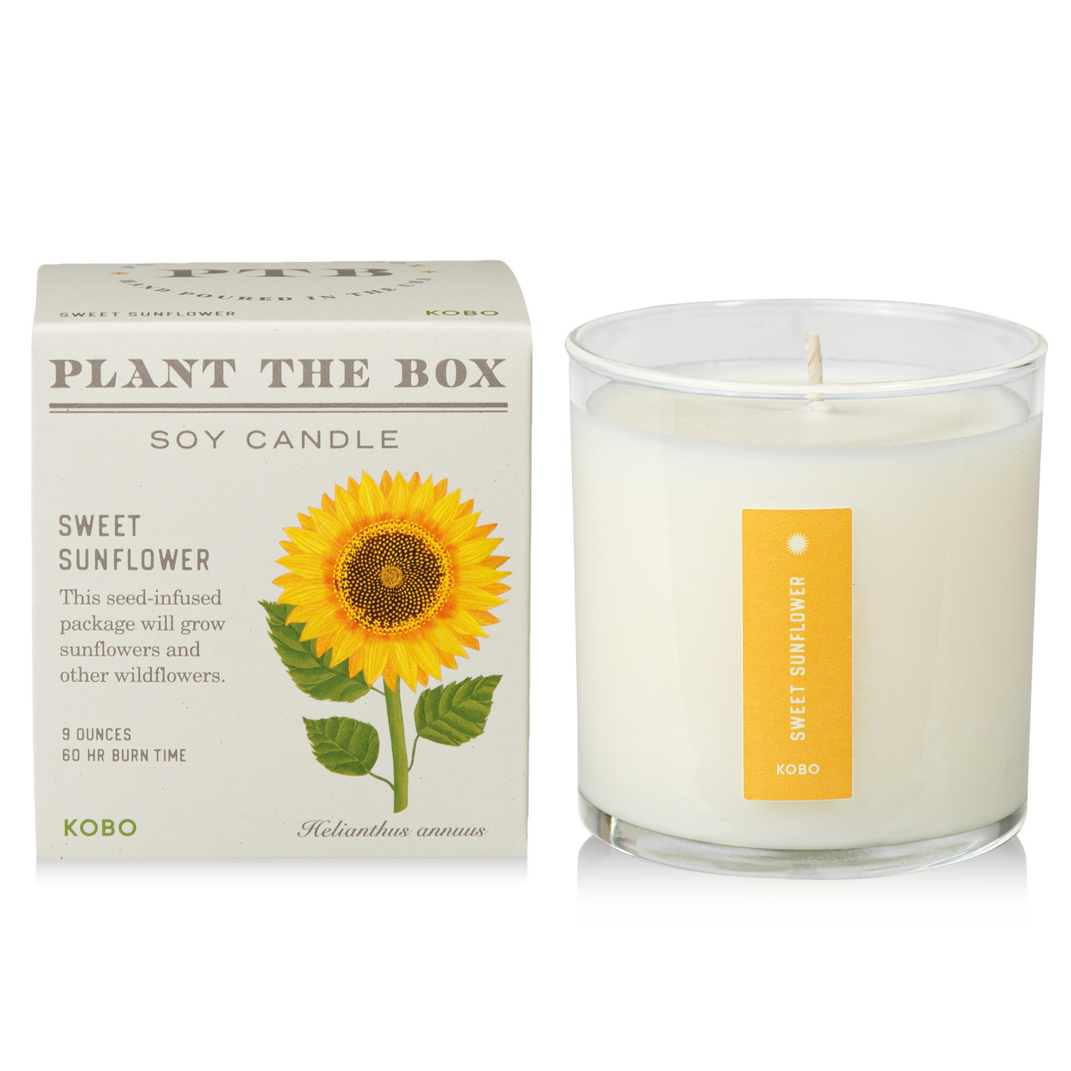 Primary Image of Sweet Sunflower Plant the Box Candle