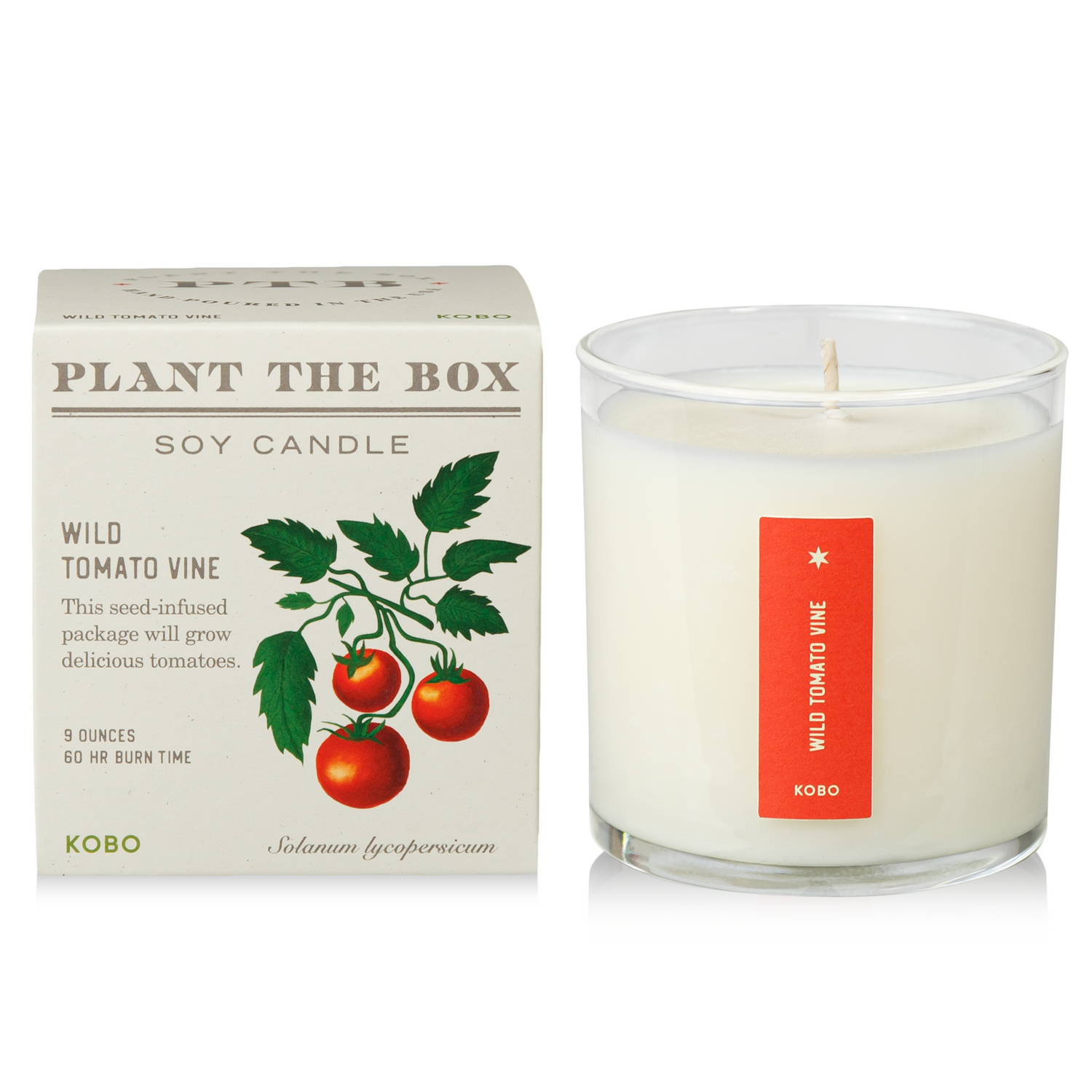 Primary Image of Wild Tomato Vine Plant the Box Candle