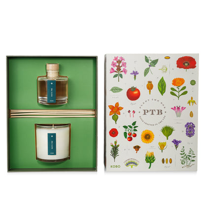 Primary Image of Plant the Box Duo Gift Set