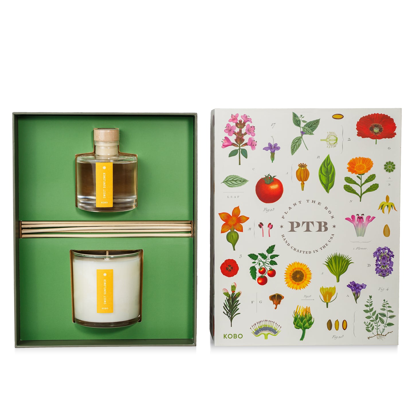 Alternate Image of Sweet Sunflower Plant the Box Duo Gift Set