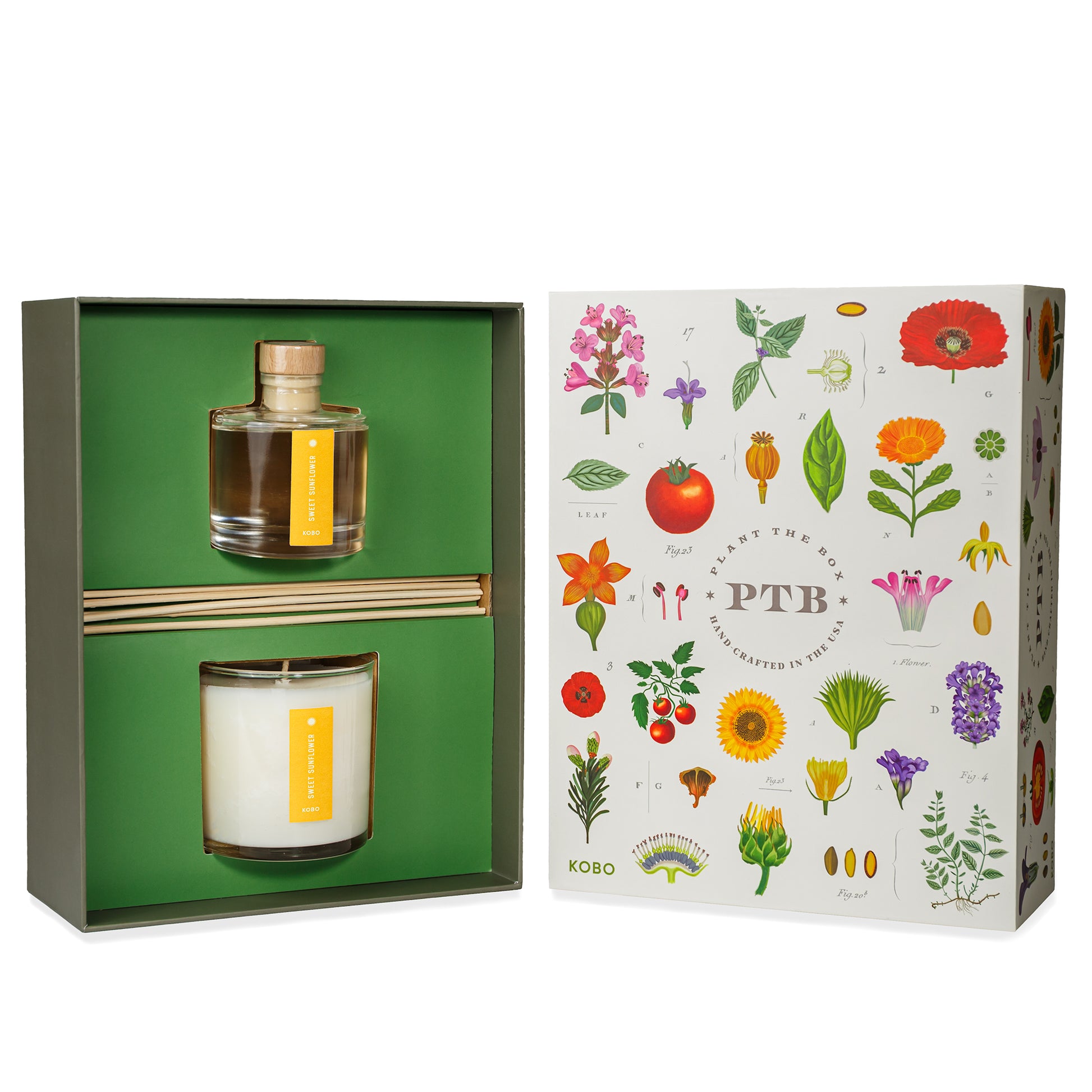 Primary Image of Sweet Sunflower Plant the Box Duo Gift Set