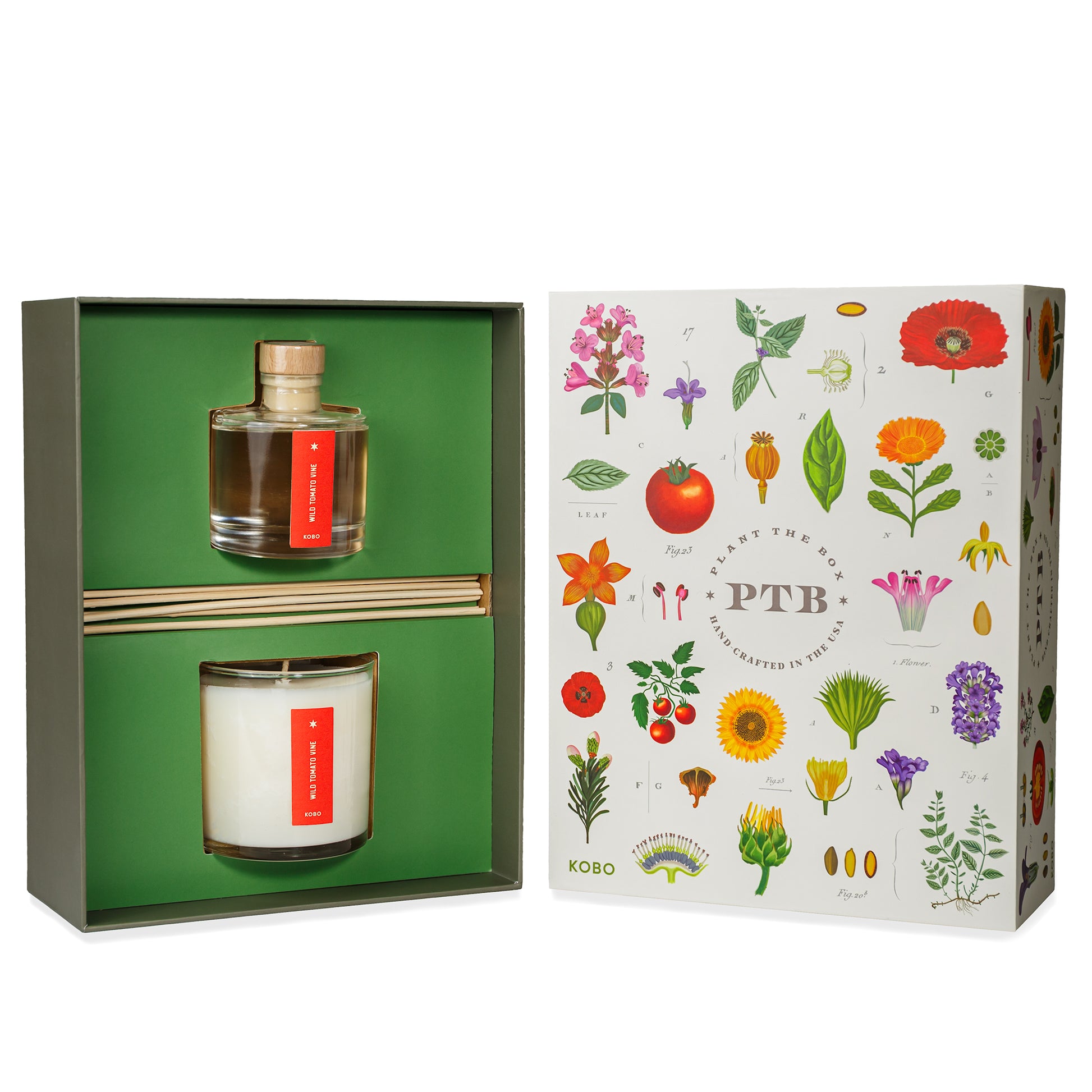 Primary Image of Plant the Box Tomato Vine Duo Gift Set