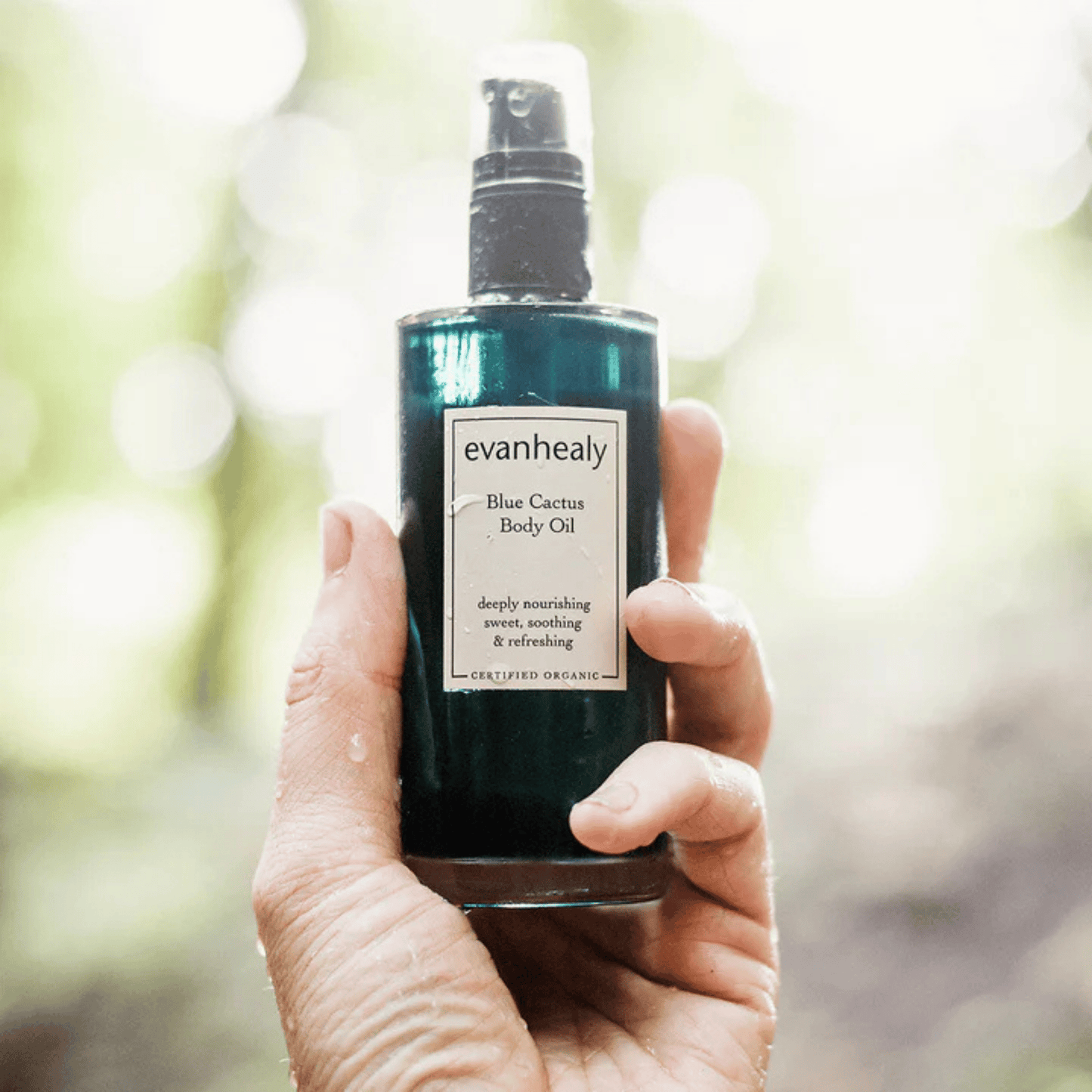 Alternate image of Evanhealy Blue Cactus Body Oil