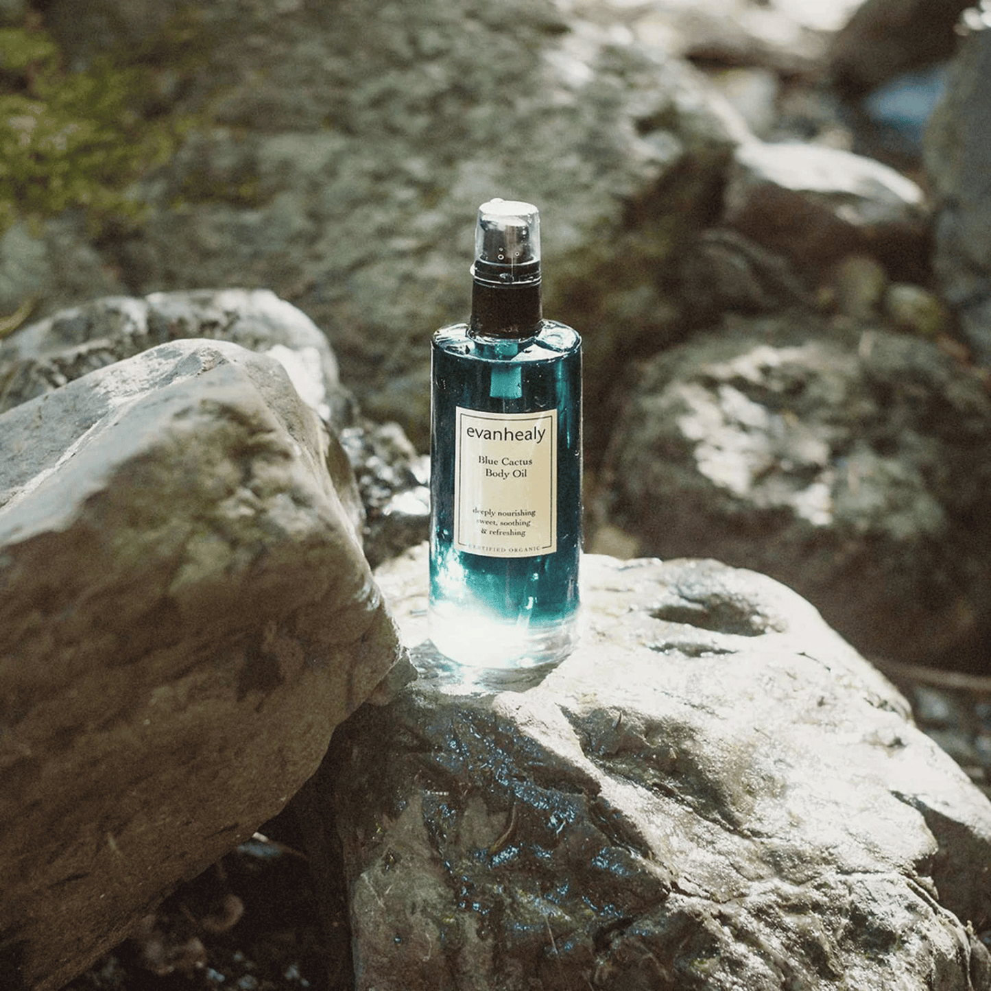 Alternate image of Evanhealy Blue Cactus Body Oil