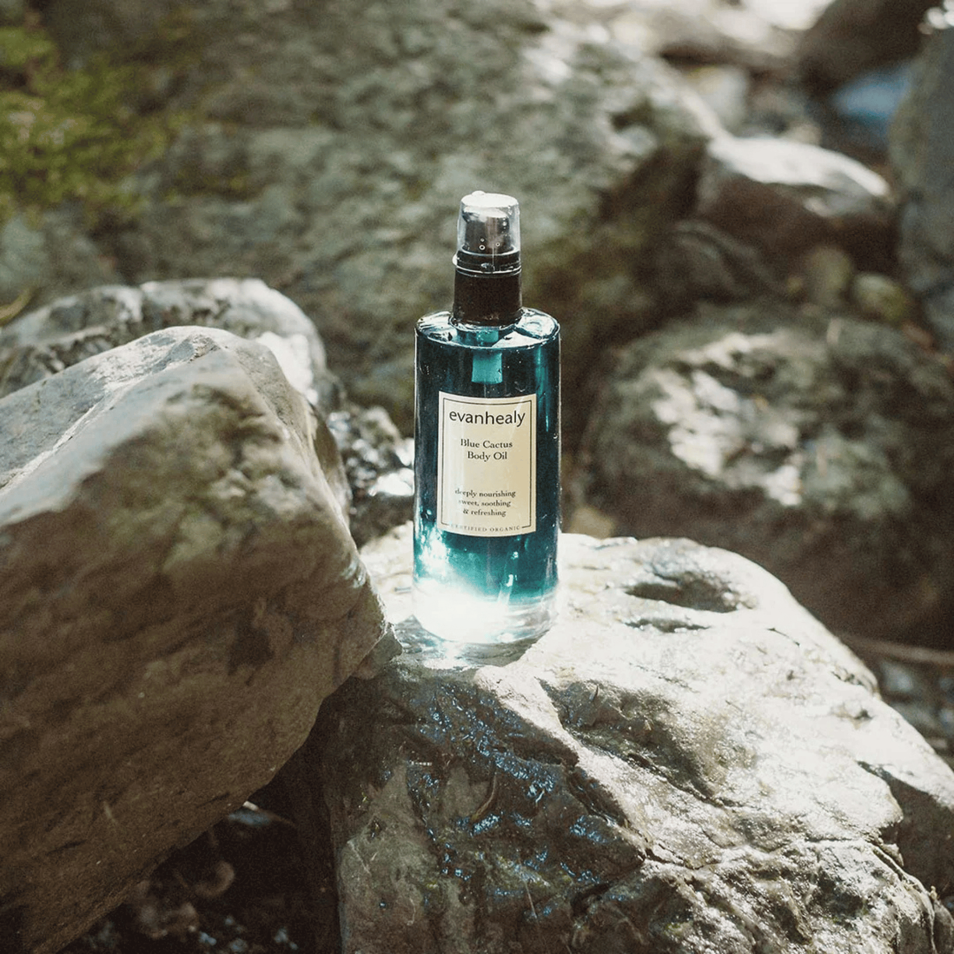 Alternate image of Evanhealy Blue Cactus Body Oil