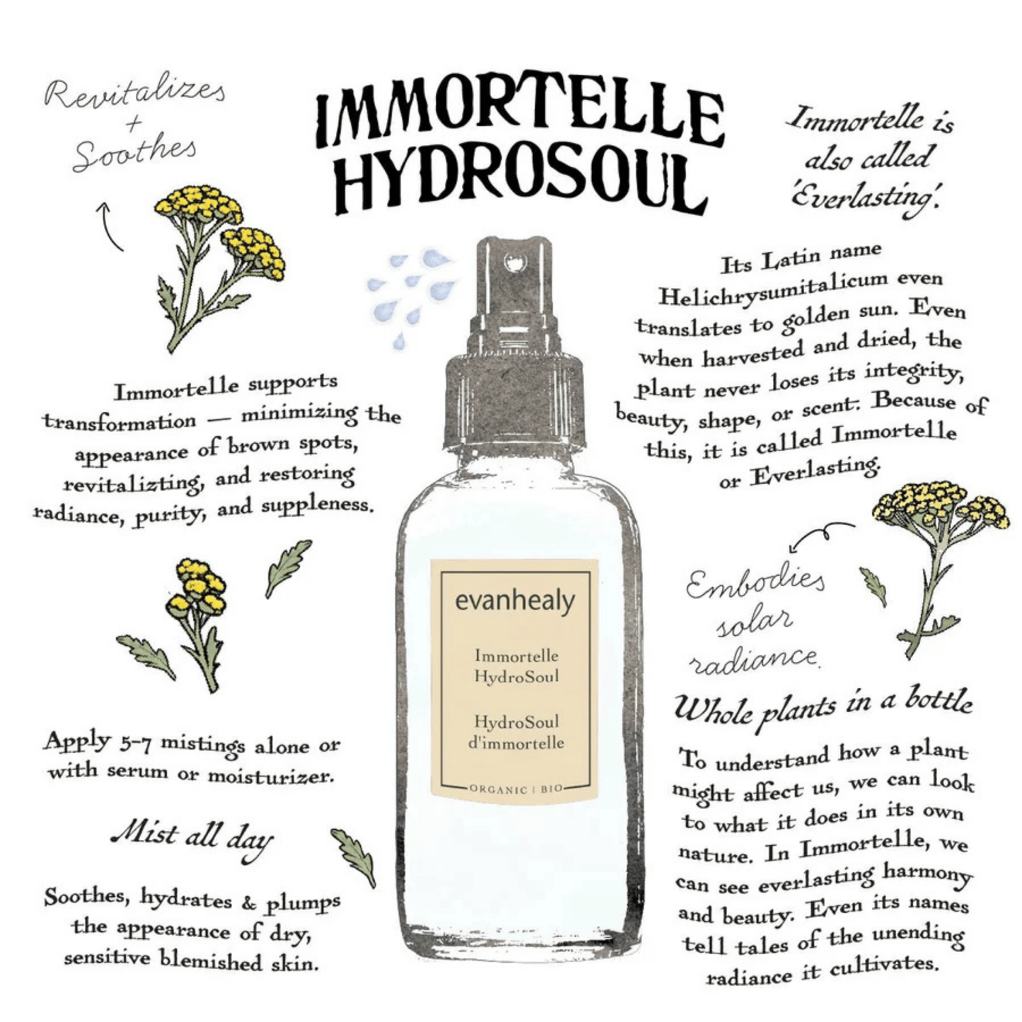 Alternate image of evanhealy Immortelle Facial Tonic HydroSoul