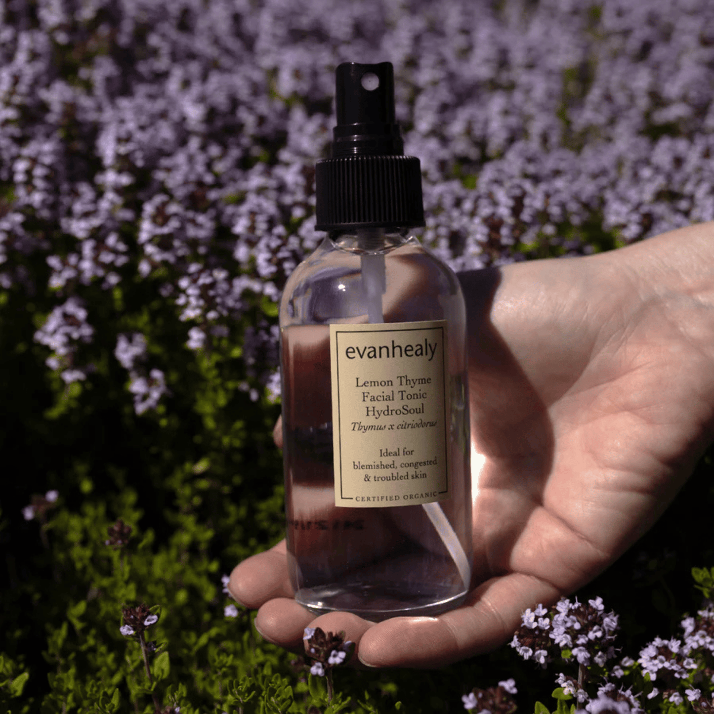 Alternate image of evanhealy Lemon Thyme Facial Tonic Hydrosoul