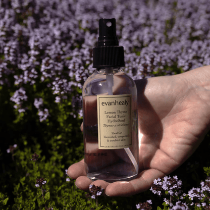 Alternate image of evanhealy Lemon Thyme Facial Tonic Hydrosoul