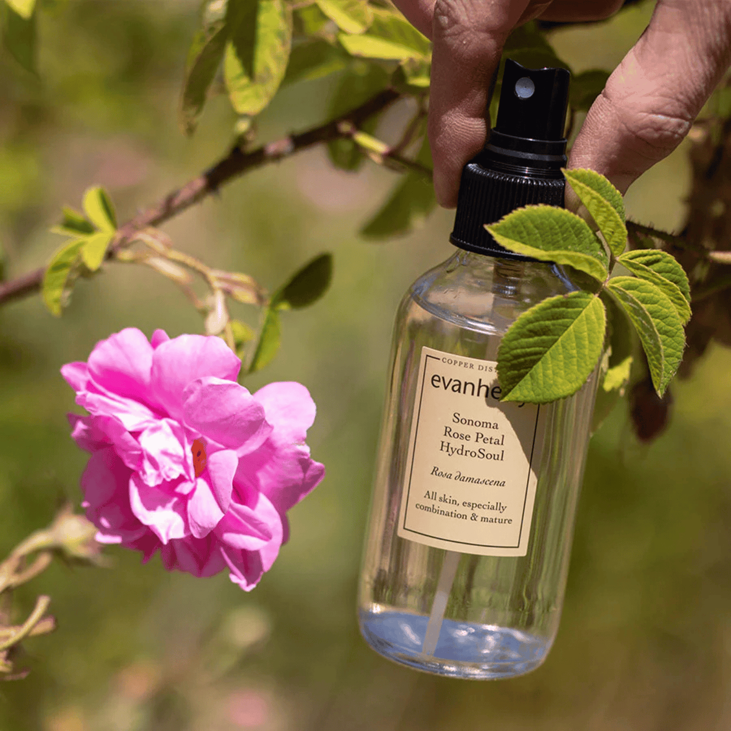 Alternate Image Sonoma Rose HydroSoul