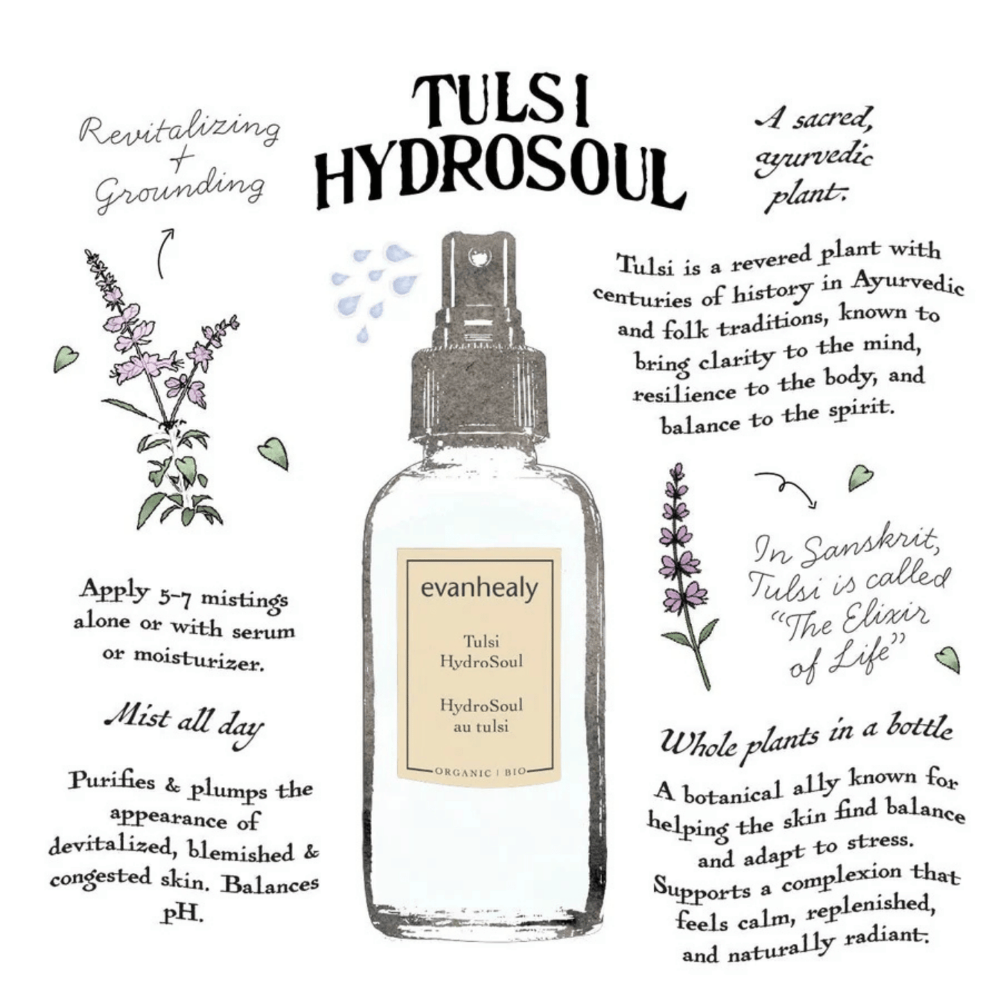 Alternate image of evanhealy Tulsi Facial Tonic HydroSoul