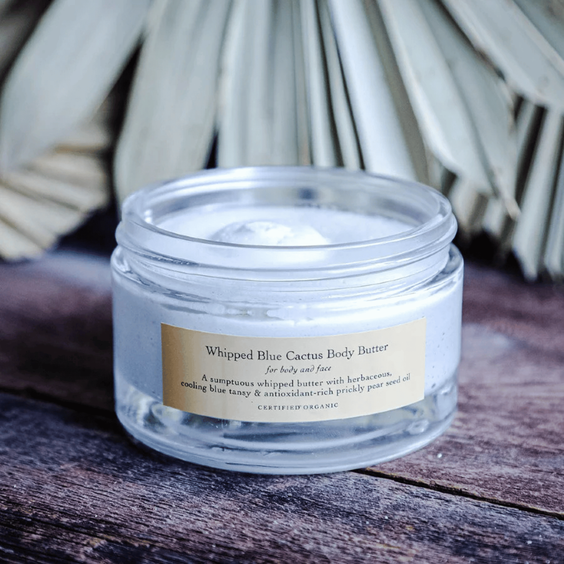 Alternate image of Evanhealy Whipped Blue Cactus Body Butter
