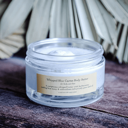 Alternate image of Evanhealy Whipped Blue Cactus Body Butter