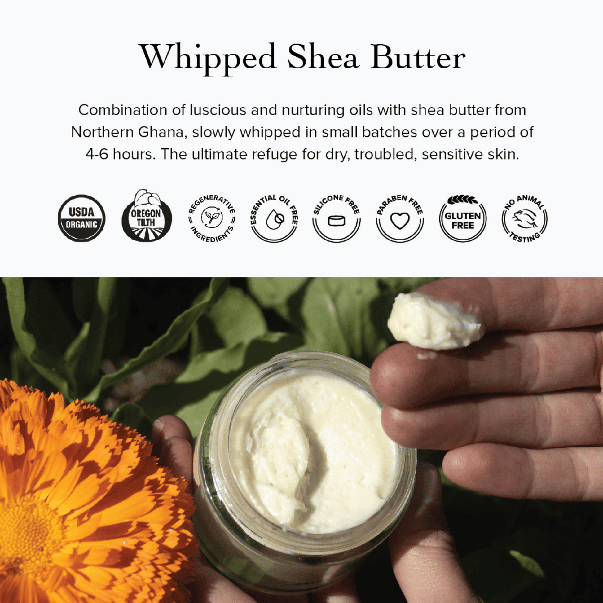 Alternate image of Evanhealy Whipped Blue Cactus Body Butter
