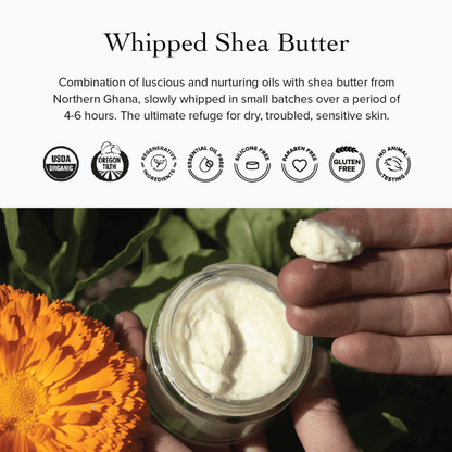Alternate image of Evanhealy Whipped Blue Cactus Body Butter