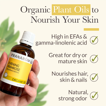 Alternate image of Pranarom Evening Primrose Virgin Plant Oil