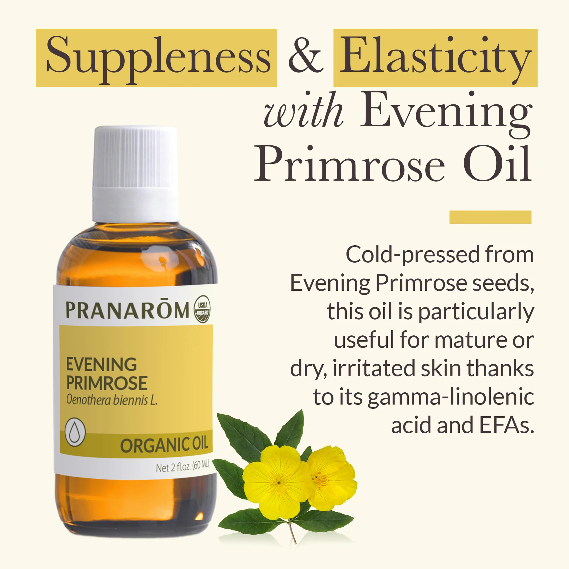Alternate image of Pranarom Evening Primrose Virgin Plant Oil