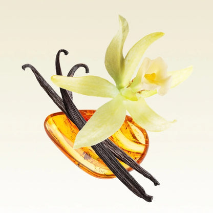 Alternate image of Glasshouse Kyoto in Bloom Christmas Bauble Candle notes