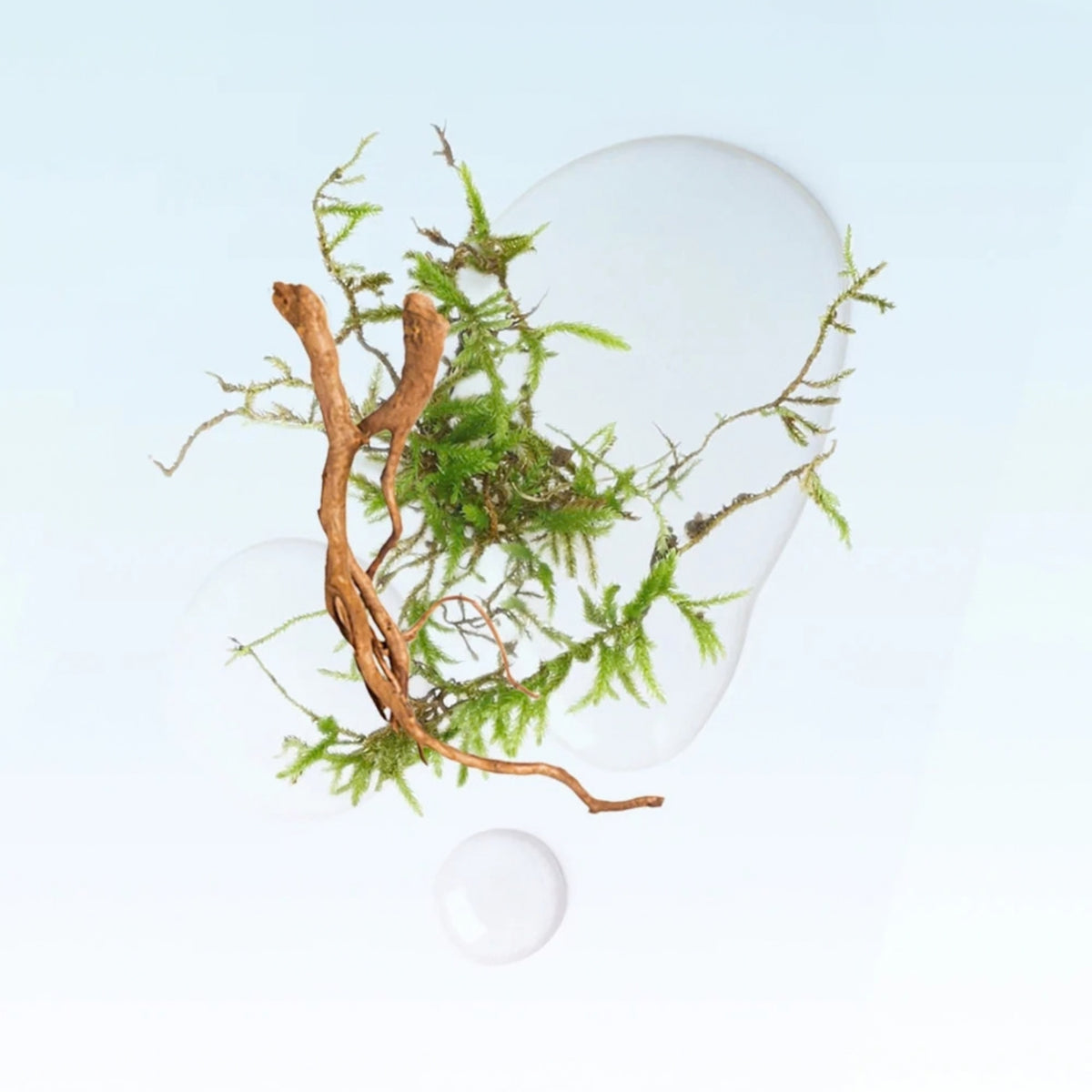 Alternate image of Glasshouse the Hamptons Candle & Diffuser Gift Set notes