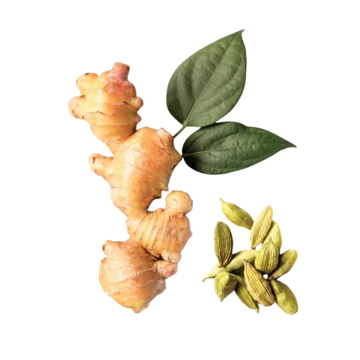 Alternate image of Himalaya Orange Cardamom Koflet Lozenge ingredients 