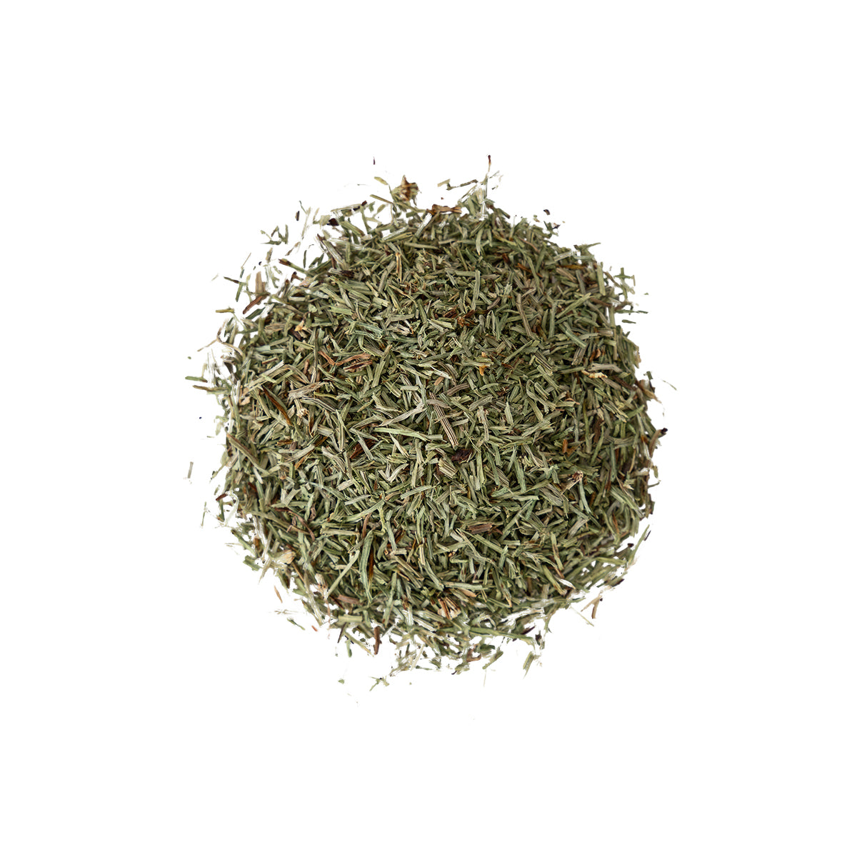 Primary Image of Horsetail