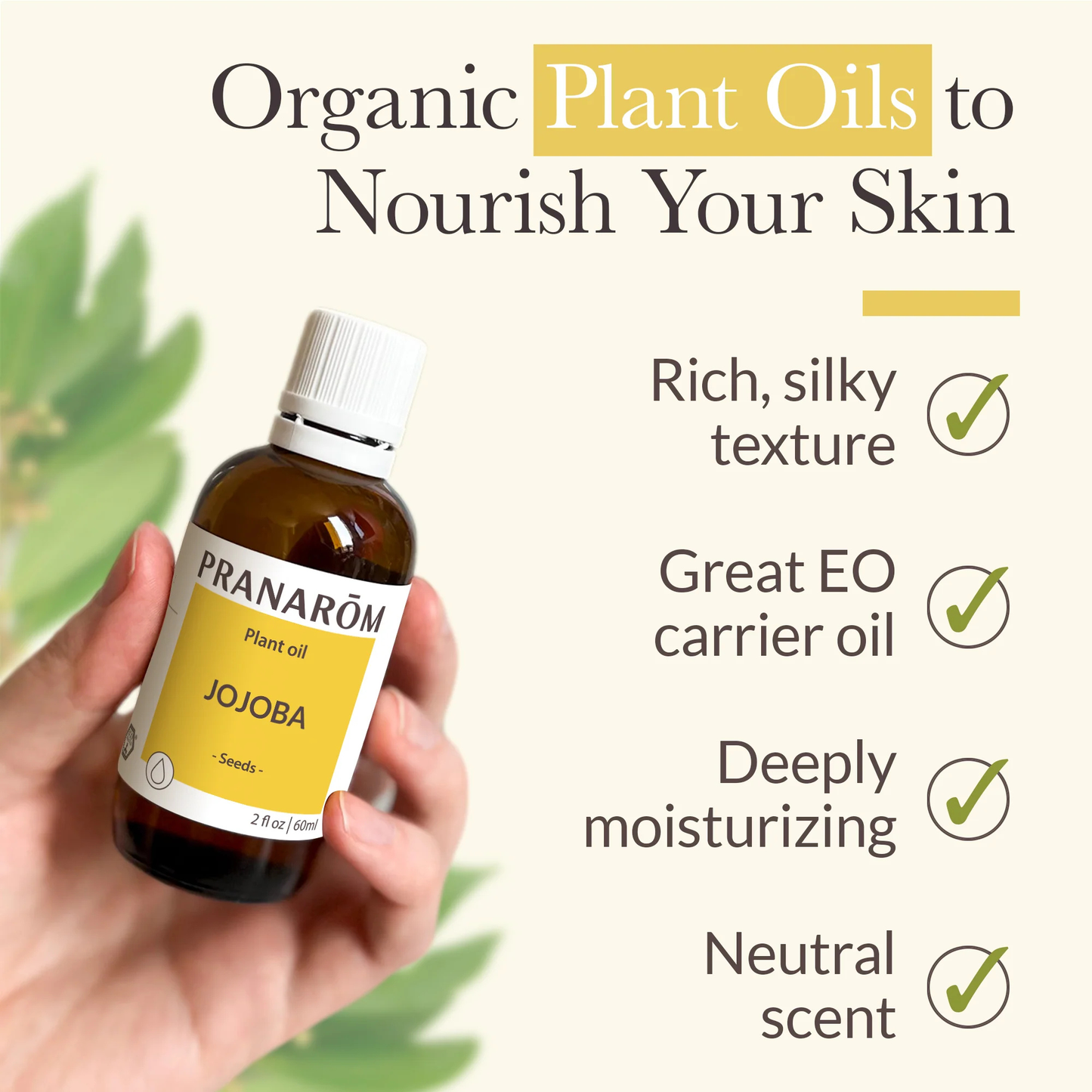 Alternate image of Pranarom Jojoba Virgin Plant Oil