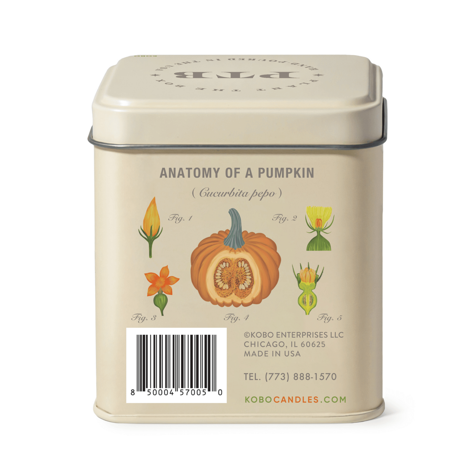 Alternate image of KOBO Plant the Box Half Moon Pumpkin Tin Candle
