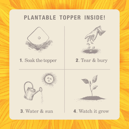 Alternate image of KOBO Plant the Box Sweet Sunflower Tin Candle plantable topper instructions 