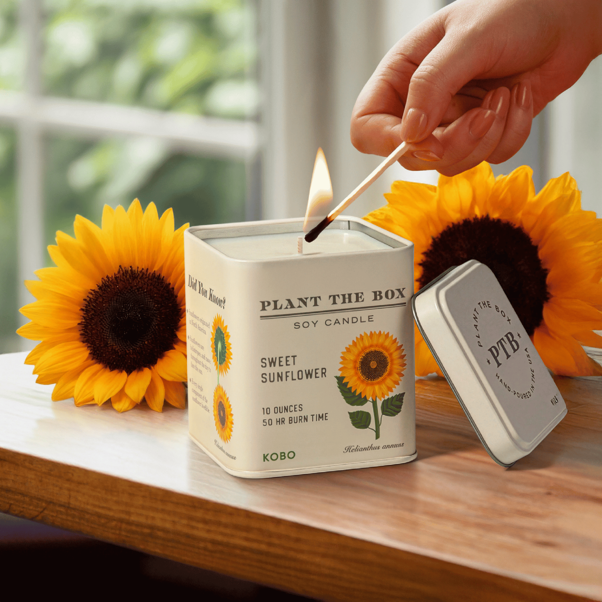 Alternate image of KOBO Plant the Box Sweet Sunflower Tin Candle
