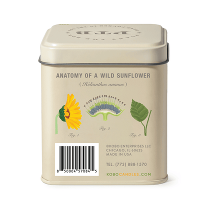 Alternate image of KOBO Plant the Box Sweet Sunflower Tin Candle