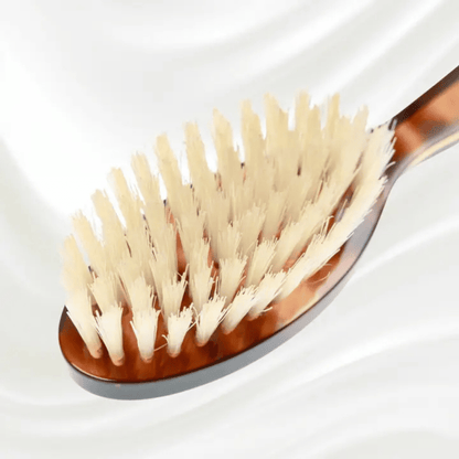 Alternate image of Koh-I-Noor Jaspe Small Oval White Boar Bristle Brush 