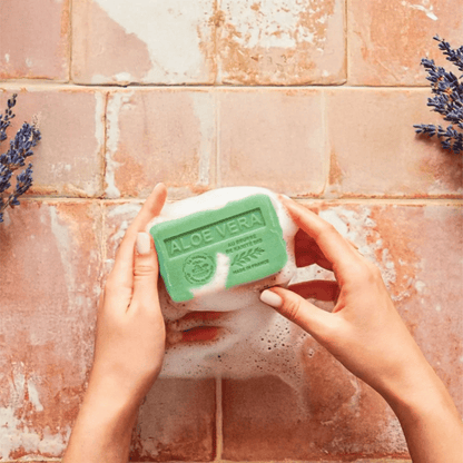 La Maison du Savon de Marseille Aloe Vera Shea Butter Soap (250 g) #10089833