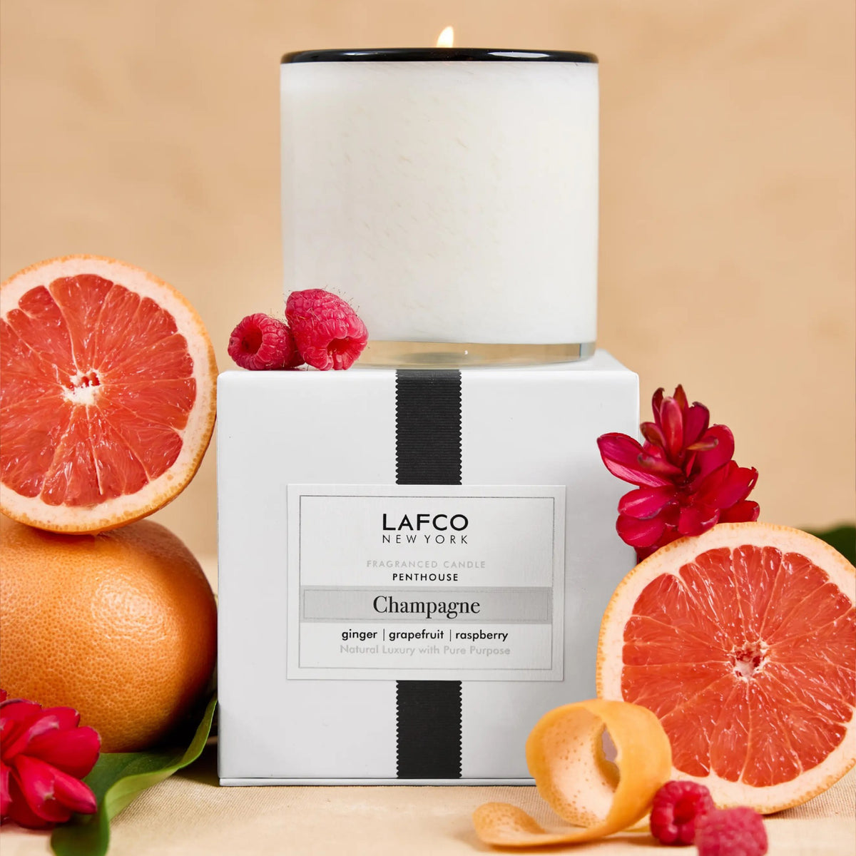 Alternate image of Lafco Champagne Signature Candle (15.5 oz)