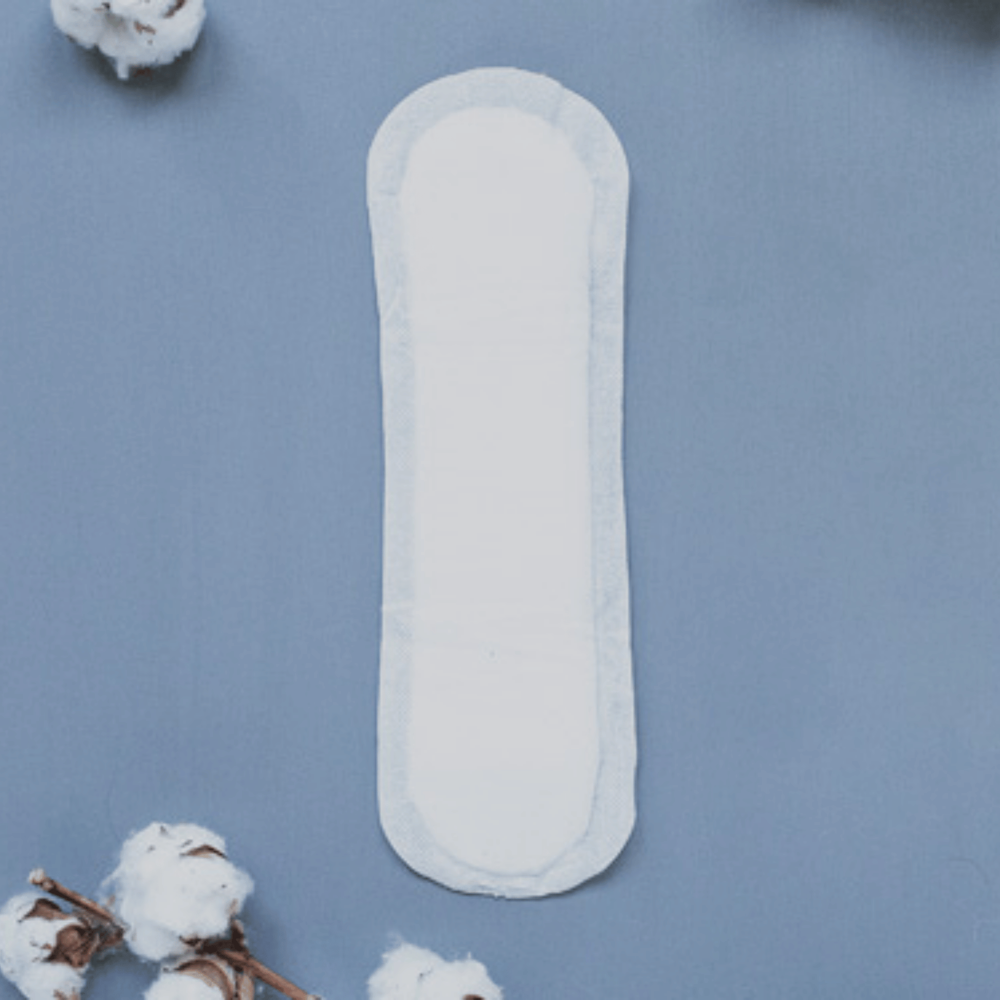 Alternate image of Natracare Super Maxi Pads (12 count)