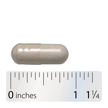 Alternate image of Nature's Way Fortify Women's 50B Extra Strength Probiotic (30 ct)