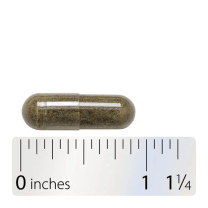 Alternate image of Nature's Way Kelp (180 ct)