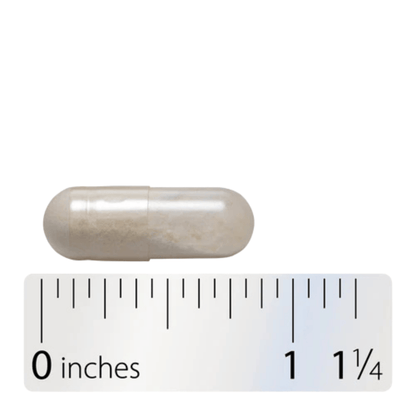 Alternate image of Nature's Way Primadophilus Reuteri (90 ct)