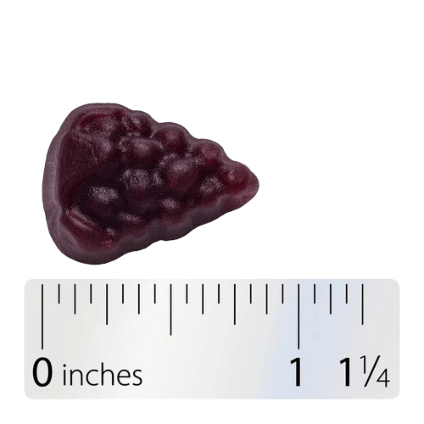 Alternate image of Nature's Way Sambucus Zero Sugar Elderberry Gummies (50 ct)