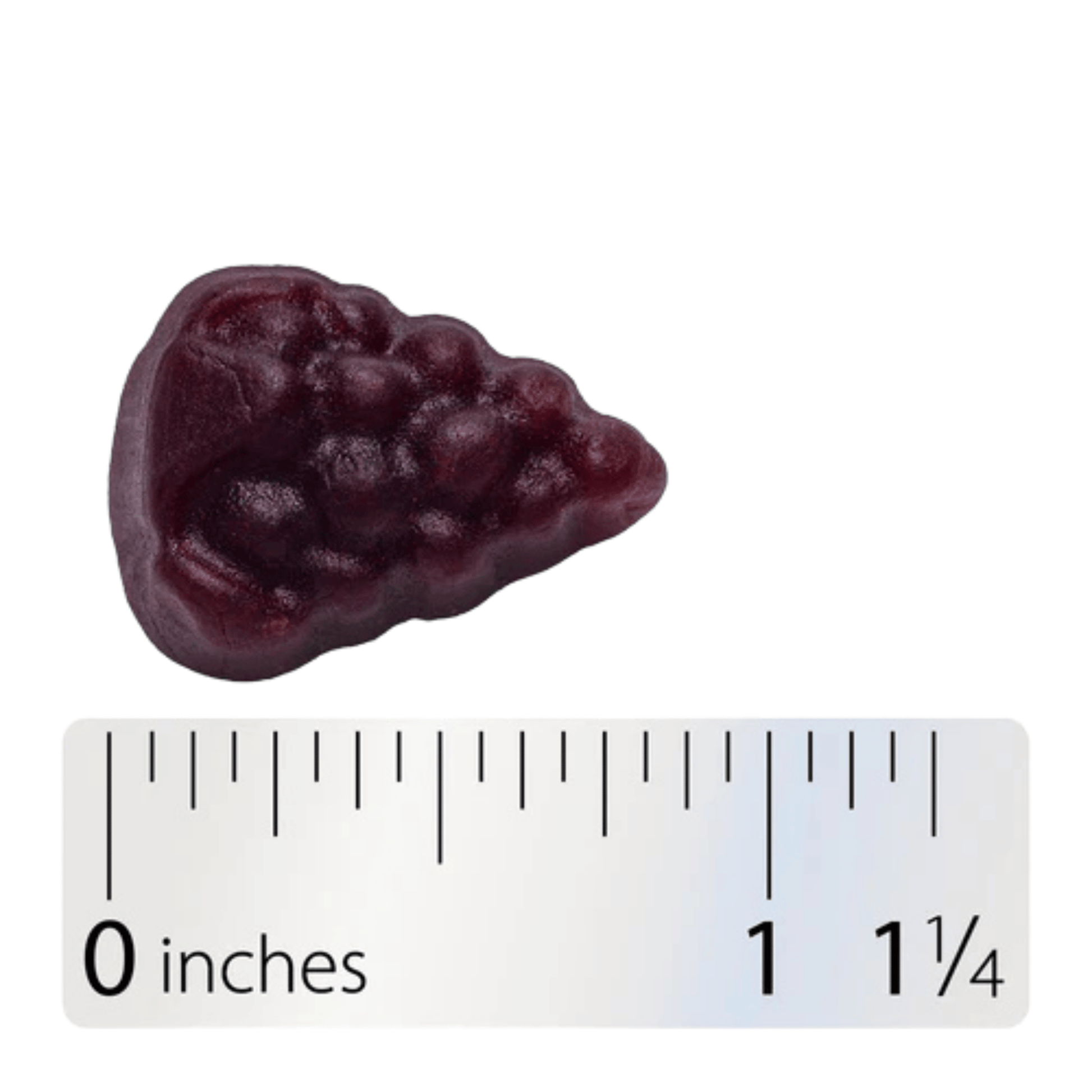 Alternate image of Nature's Way Sambucus Zero Sugar Elderberry Gummies (50 ct)