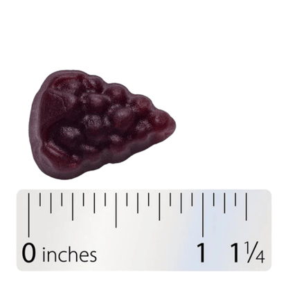 Alternate image of Nature's Way Sambucus Zero Sugar Elderberry Gummies (50 ct)