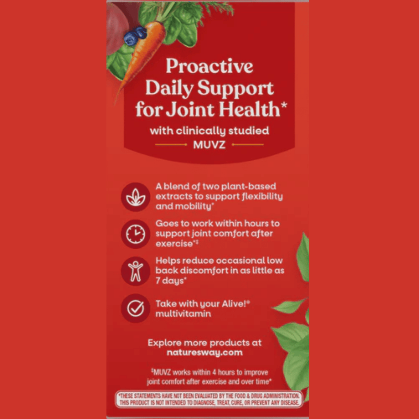 Alternate image of Nature's Way Alive! Joint (30 count)