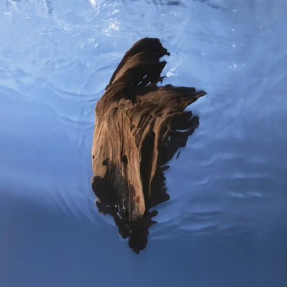 Alternate image of Ormaie Paris Bois Ocean Extrait de Parfum