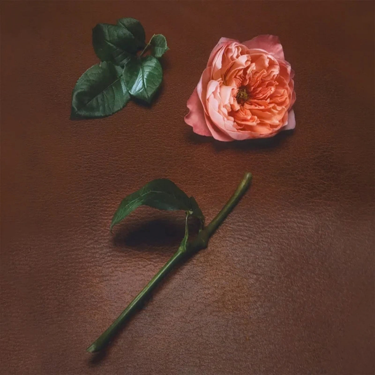 Alternate image of Ormaie Paris Rose Mosaique Extrait de Parfum